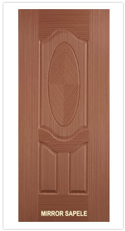 Veneer Molded Doors